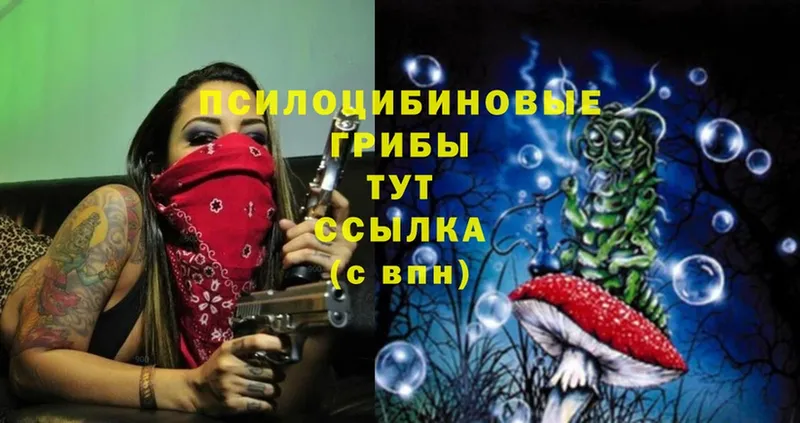 MEGA сайт  Великий Устюг  это состав  Псилоцибиновые грибы Psilocybine cubensis 